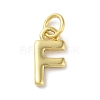 Rack Plating Brass Charms KK-P245-06G-F-1