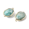 Natural Amazonite Faceted Oval Connector Charms G-H323-02G-12-2