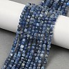 Natural Kyanite Beads Strands G-M092-C01-02A-1