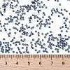 MIYUKI Round Rocailles Beads X-SEED-G009-RR0358-4