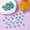 Preciosa® MAXIMA Crystal No Hotfix Flatback Stones Y-PRC-NSS16-60230-200-2