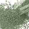 TOHO Round Seed Beads SEED-XTR15-PF0560-1