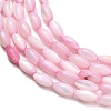 Natural Freshwater Shell Beads Strands SHEL-C010-01E-2