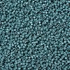 MIYUKI Delica Beads SEED-J020-DB2131-3