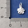 925 Sterling Silver Charms STER-M120-01D-S-3