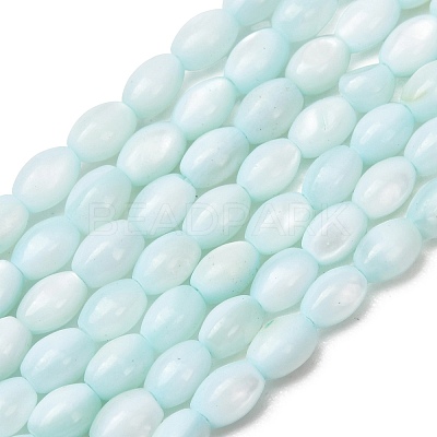 Dyed Natural Freshwater Shell Beads Strands SH-CBA2978-06C-1
