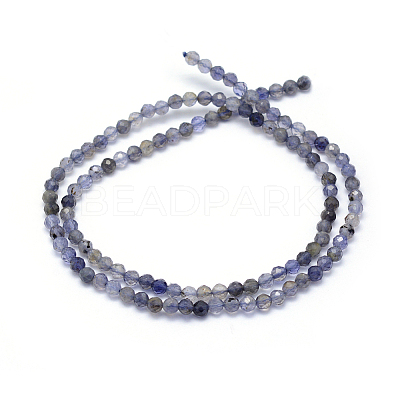 Natural Cordierite/Iolite/Dichroite Beads Strands LS-G-E411-39-3mm-1