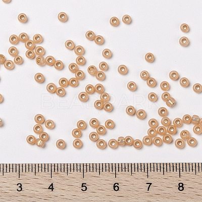MIYUKI Round Rocailles Beads X-SEED-G008-RR0580-1
