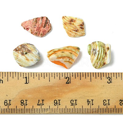 125G 5 Colors Natural Shell Bead Strands BSHE-FS0001-06B-1