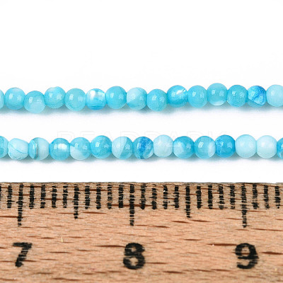 Dyed Natural Trochid Shell/Trochus Shell Beads Strands SSHEL-T017-13B-1