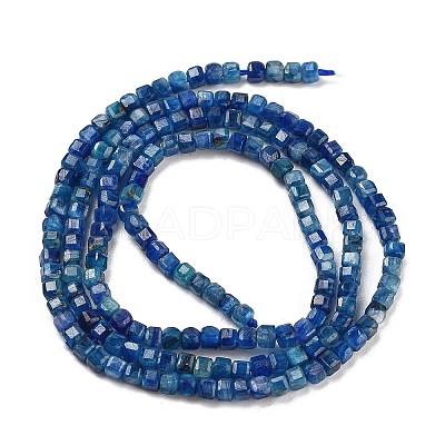 Natural Kyanite Beads Strands G-H042-B27-01-1