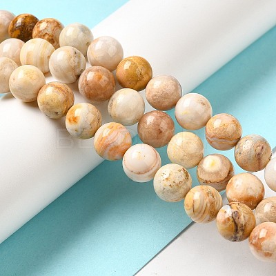 Natural Crazy Lace Agate Beads Strands G-H298-A12-04-1