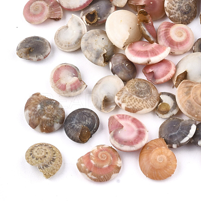 Spiral Shell Beads SSHEL-T005-01-1