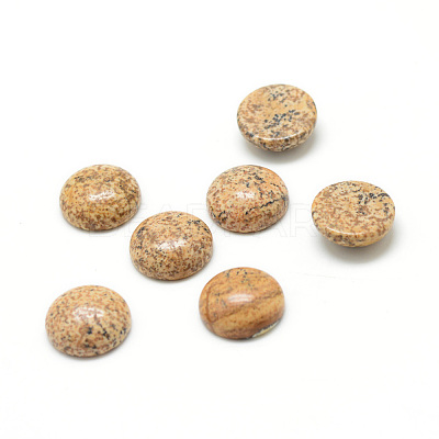 Natural Picture Jasper Gemstone Cabochons G-T020-20mm-08-1