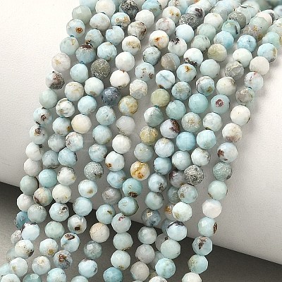 Natural Larimar Beads Strands G-F785-B01-01A-1