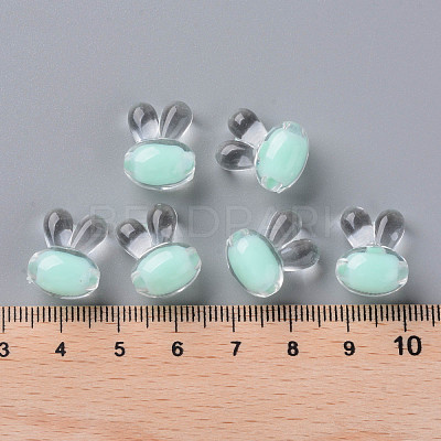 Transparent Acrylic Beads TACR-S152-05A-SS2111-1