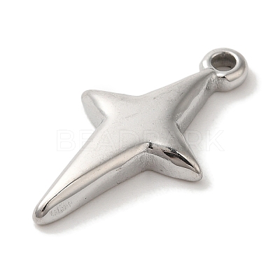 304 Stainless Steel Pendants STAS-C110-02P-1