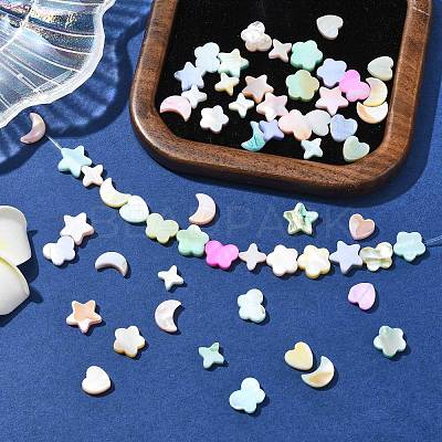 60Pcs 6 Styles Macaron Color Natural Shell Dyed Beads BSHE-CJ0001-13-1