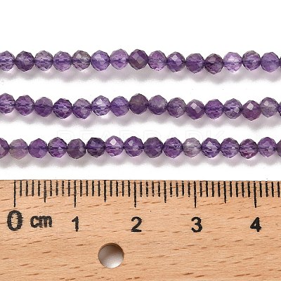 Natural Amethyst Beads Strands G-K373-B03-03-1