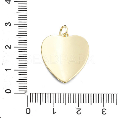Brass Enamel Pendants KK-H206-11G-02-1