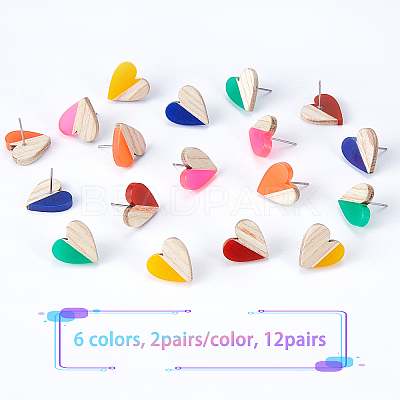 Resin & Wood Stud Earrings EJEW-FH0001-02-1