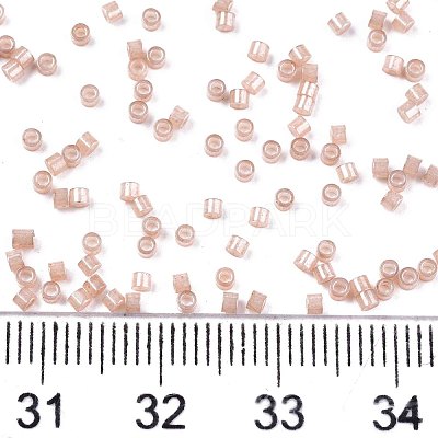FGB 11/0 Grade A Baking Paint Glass Seed Beads SEED-S030-1145-1