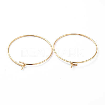 316 Surgical Stainless Steel Hoop Earring Findings LS-X-STAS-J025-01C-G-1