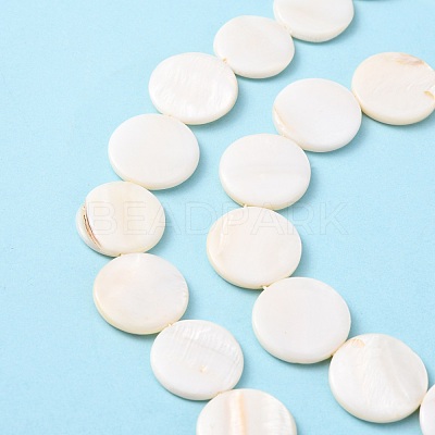 Natural Freshwater Shell Beads X-S00C20W3-1