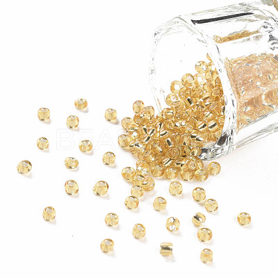 8/0 Glass Seed Beads SEED-US0003-3mm-22-1
