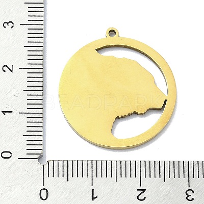 201 Stainless Steel Pendants LS-STAS-R118-04G-1
