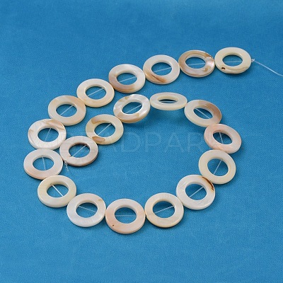 Natural White Shell Beads Strands LS-PBB-XXBK014Y-13-1