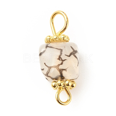 Natural Agate Connector Charms PALLOY-JF01587-04-1