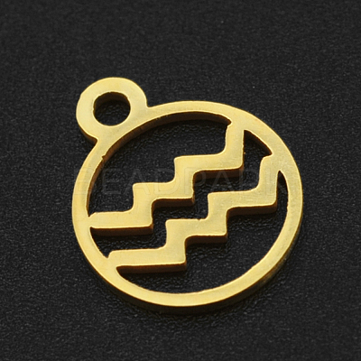 201 Stainless Steel Charms STAS-T014-LA111-11-1