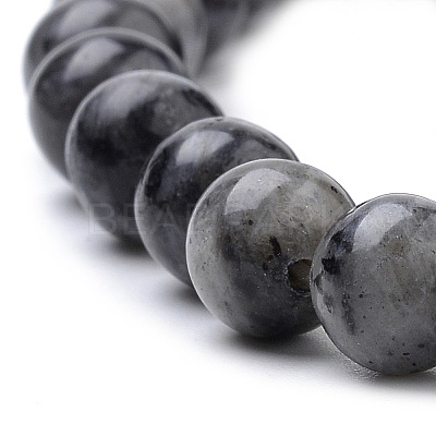 Natural Larvikite Beads Strands X-G-S259-06-12mm-1