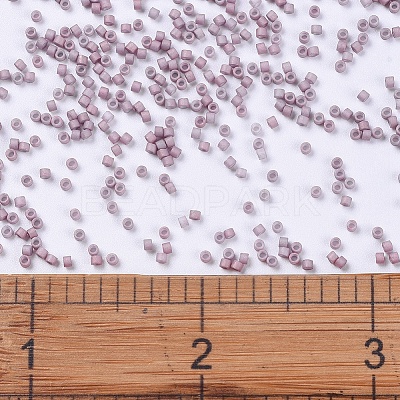 MIYUKI Delica Beads X-SEED-J020-DB0379-1