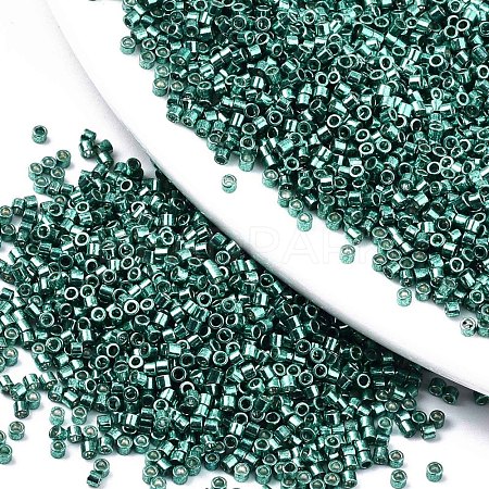 FGB 11/0 Grade A Glass Seed Beads SEED-S030-1209-1
