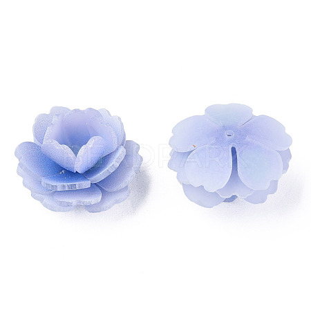 Plastic Beads LS-KY-N015-197B-1