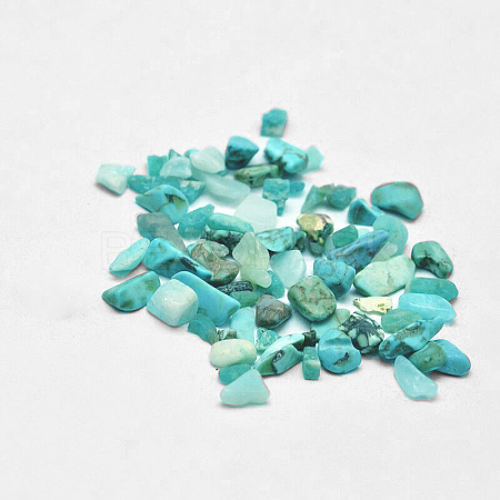Synthetic Turquoise Chip Beads G-O103-04-1