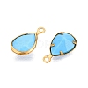 K9 Glass Charms GLAA-T023-10D-2