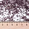 MIYUKI Round Rocailles Beads X-SEED-G009-RR2402-4