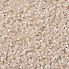 MIYUKI Delica Beads SEED-MY11-DB1874-3