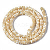 Natural Trochid Shell/Trochus Shell Beads Strands SSHEL-S266-019B-01-2