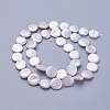 Shell Pearl Beads Strands BSHE-P030-01C-1