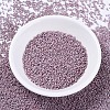 MIYUKI Delica Beads Small X-SEED-J020-DBS0379-2
