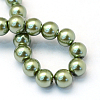 Baking Paint Pearlized Glass Pearl Round Bead Strands HY-Q003-4mm-49-4
