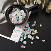 Transparent Acrylic Beads TACR-TA0001-11-13