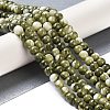 Baking Paint Glass Bead Strands GLAA-H031-01A-14-2