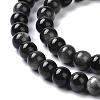 Natural Silver Obsidian Beads Strands G-D083-01D-3