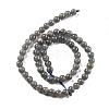 Natural Labradorite Beads Strands G-S333-6mm-035-01-5