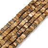 Natural Picture Jasper Beads Strands G-I394-A01-2